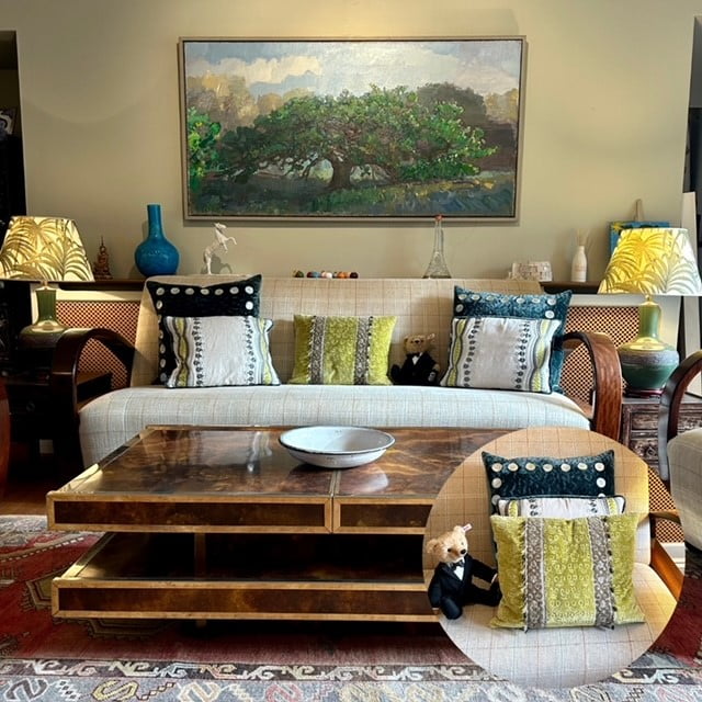 Read more about the article Cushions Act as Highlights